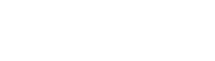 Wisefolksgroup